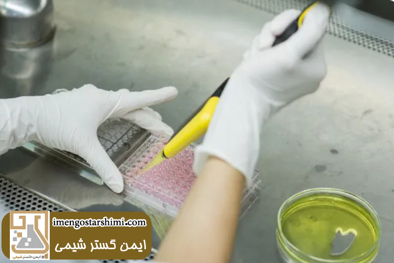 نکات مهم هنگام خرید پلیت آزمایشگاهی